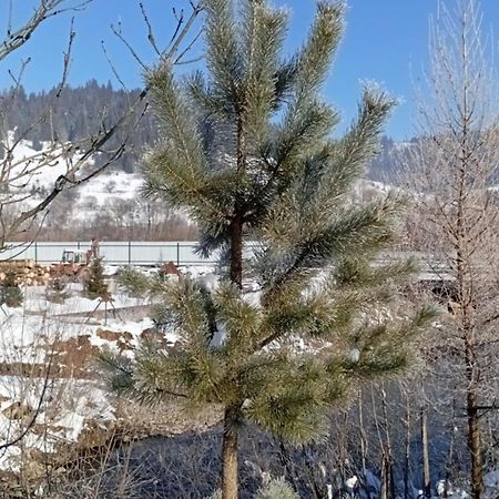 Затишний Будиночок Bukovets Exterior foto
