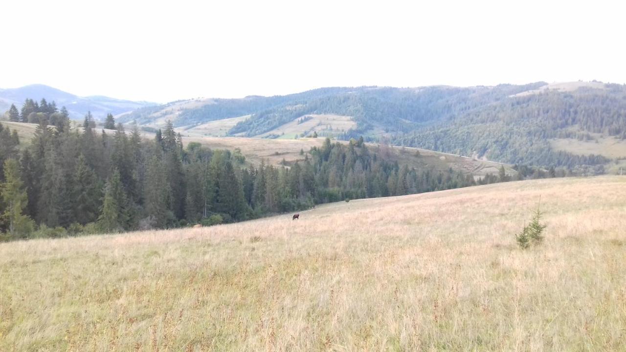 Затишний Будиночок Bukovets Exterior foto